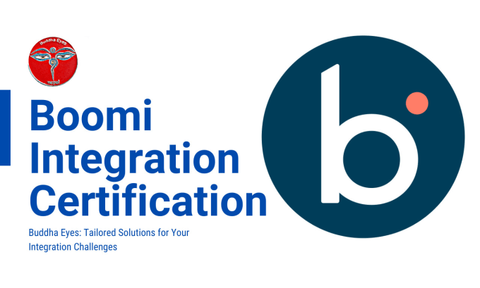 Gig Preview - Help you with your boomi certification