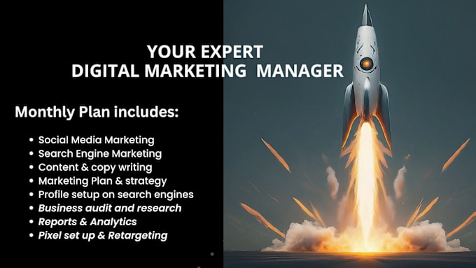 Gig Preview - Be your digital marketing manager