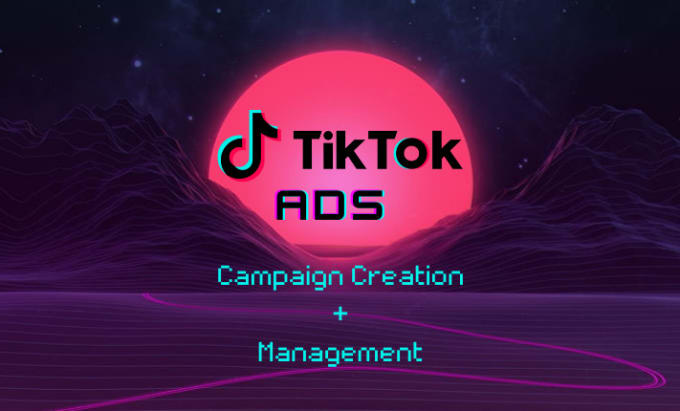 Gig Preview - Quickly set up and manage your tiktok ads