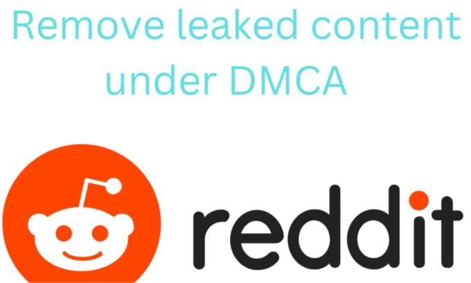 Gig Preview - Report reddit copyright violating content under dmca