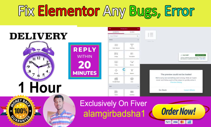 Gig Preview - Fix elementor errors, bugs, and design issues within 1 hour