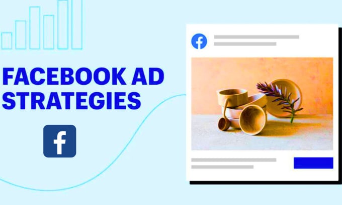 Gig Preview - Professionally build your facebook ads and instagram ads