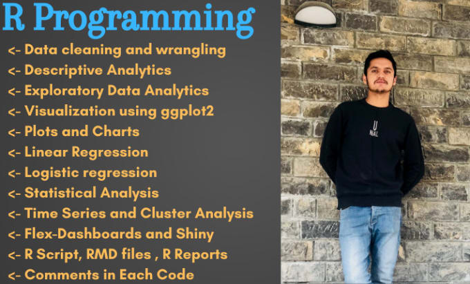 Gig Preview - Help you in r programming, data visualization and data analysis