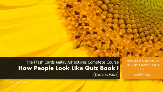 Gig Preview - Send malay adjectives and sentences flash cards pdf course