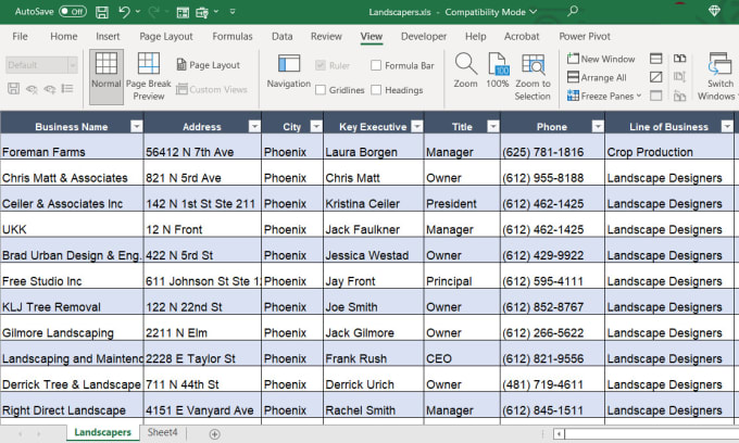 Gig Preview - Clean excel data, sort, merge, split, remove duplicates, trim, change case, more