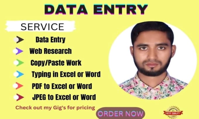 Gig Preview - Do excel data entry, copy paste, typing and data entry