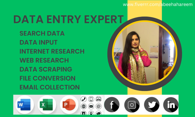 Gig Preview - Be your data entry expert, search data, internet research, and web research