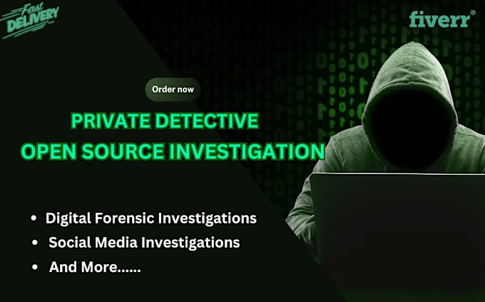 Gig Preview - Perform open source investigation,background check plus osint