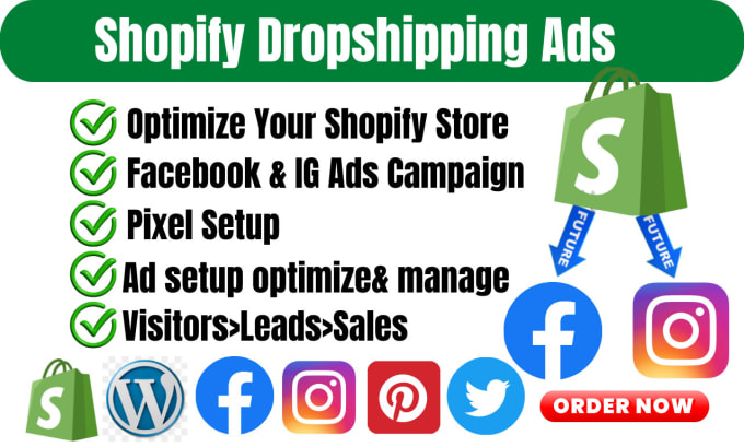 Gig Preview - Do shopify store setup dropshipping product listing facebook ads ig ads tiktok