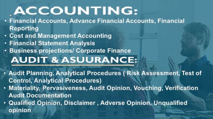 Gig Preview - Assist you in audit, accounting, economics