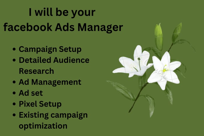 Gig Preview - Setup your facebook ad account and ads manager