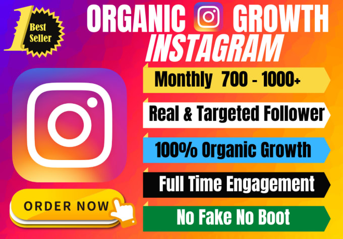 Gig Preview - Organically promote and manage to grow your instagram page