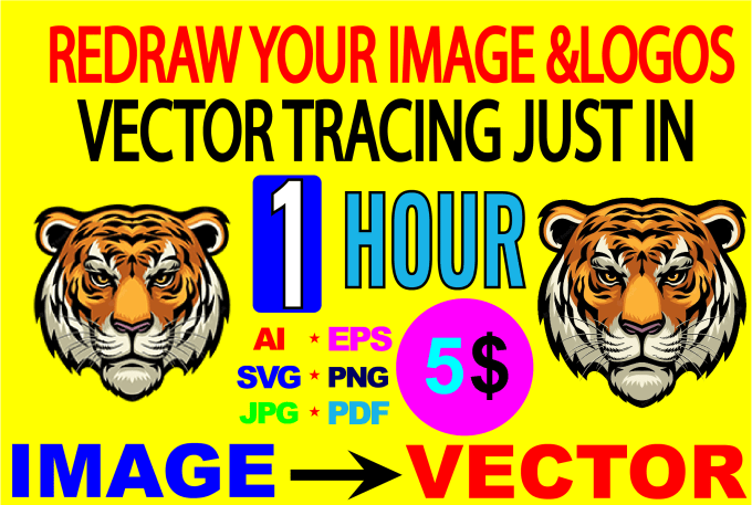 Gig Preview - Vector tracing, convert image to vector in 1 hour ai,eps,png