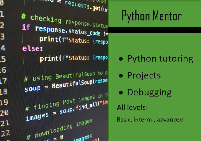 Gig Preview - Tutor python programming at any level