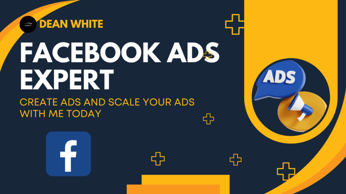 Gig Preview - Create, setup and manager facebook ad campaigns