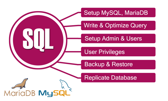 Gig Preview - Install design write sql query optimize migrate mysql database