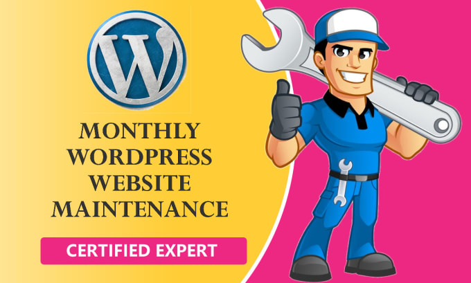 Gig Preview - Do wordpress website maintenance and wordpress support or wordpress maintenance