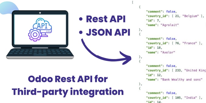 Gig Preview - Provide odoo API json API rest API