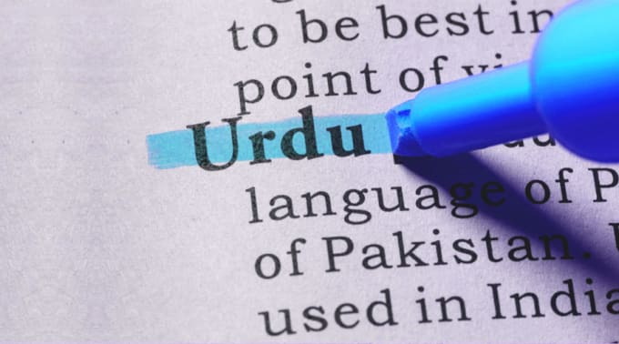 Gig Preview - Do urdu typing up to your standard in inpage