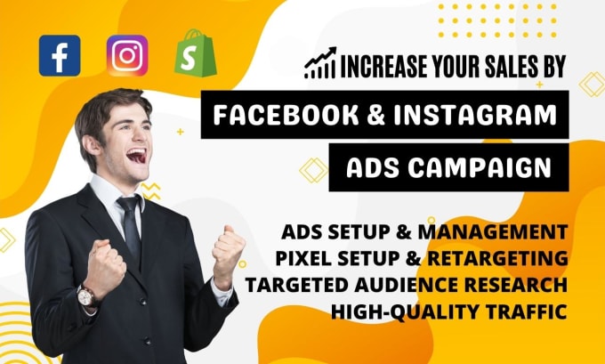 Gig Preview - Set up facebook ads campaign, fb advertising, instagram ads