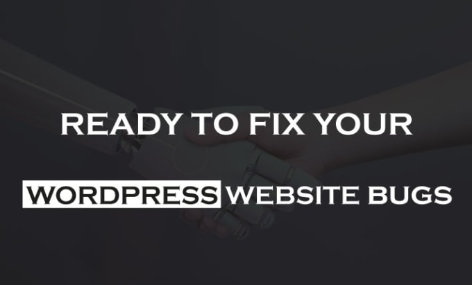 Gig Preview - Fix wordpress website bugs, issues, errors and customization