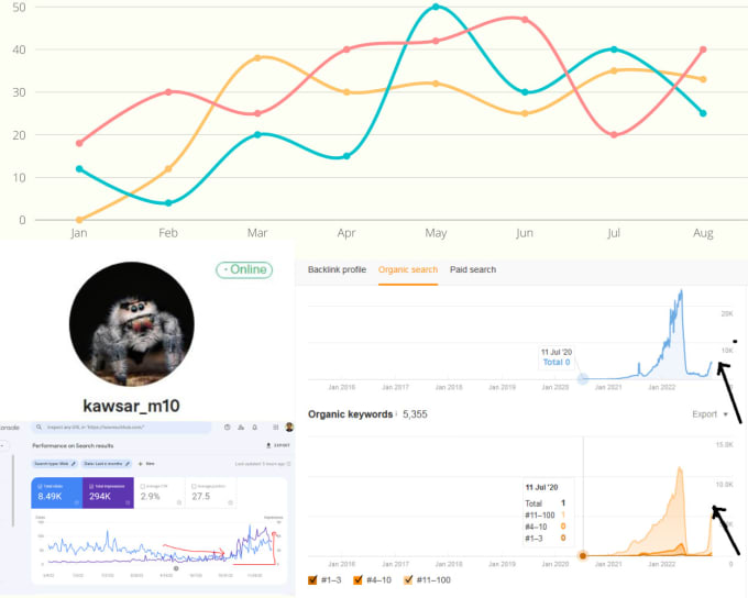 Gig Preview - Do an SEO audit for recent google algorithm update and recover them