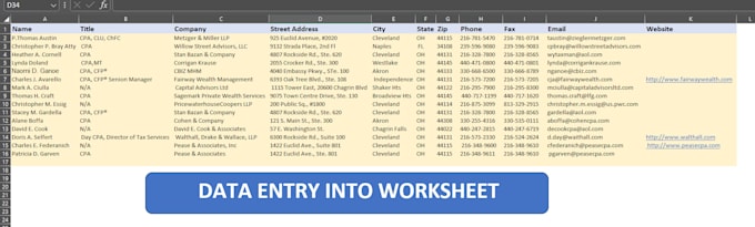 Gig Preview - Do professional data entry and report creation in excel