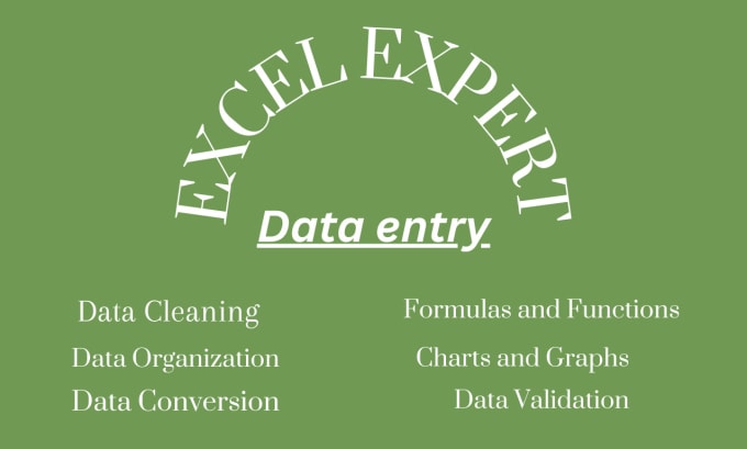 Gig Preview - Do data entry in microsoft excel