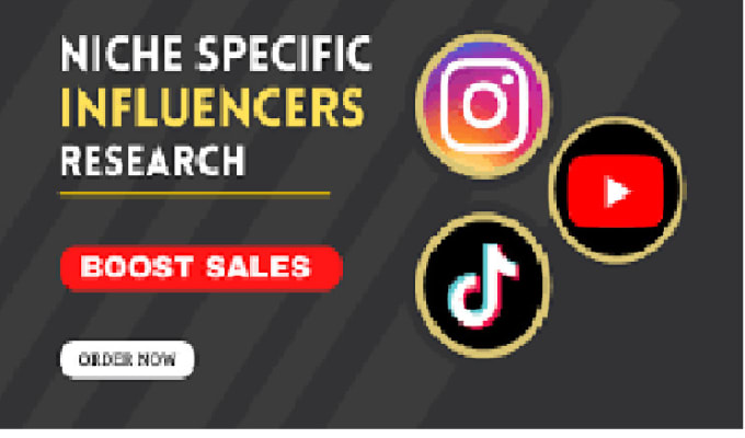 Gig Preview - Build best instagram, youtube, tiktok influencers list for influencer market