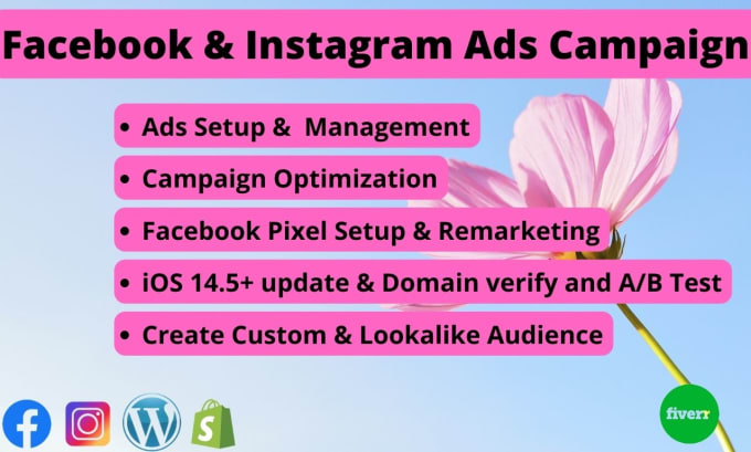 Gig Preview - Setup and manage your facebook ads, instagram ads and shopify ads campaign