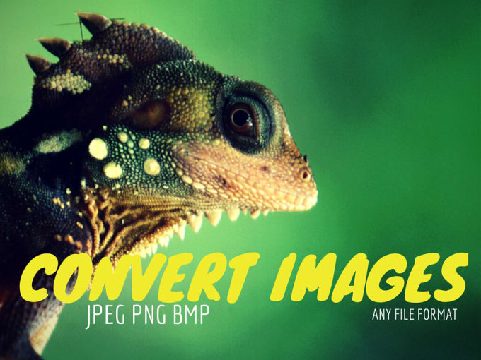 Gig Preview - Convert images, pictures and photos png jpeg any format