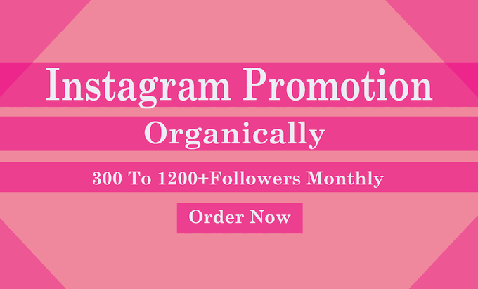 Gig Preview - Promote your instagram organically to gain real followers