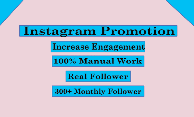 Gig Preview - Promote your instagram page organically to gain active followers