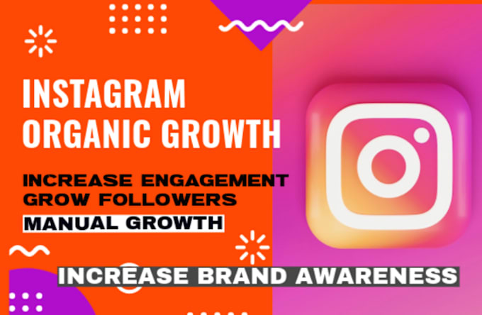 Gig Preview - Manage and promote your instagram page organically