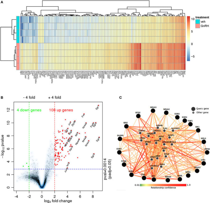 Bestseller - do bioinformatics analysis for you