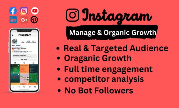 Gig Preview - Do instagram promotion and marketing for super fast organic growth