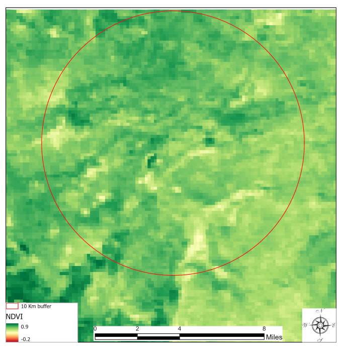 Gig Preview - Do ndvi analysis to monitor vegetation health