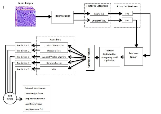 Gig Preview - Create and train dl model for medical image classification