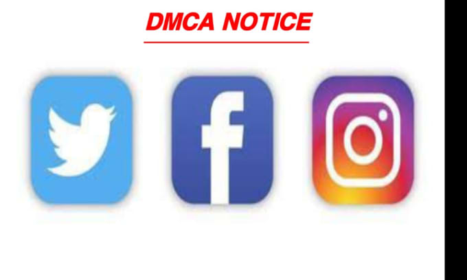 Gig Preview - Remove content on instagram, facebook,tiktok,youtube,reddit,twitter under dmca