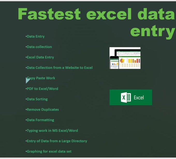 Gig Preview - Do excel data entry ,data sorting, graphing and typing