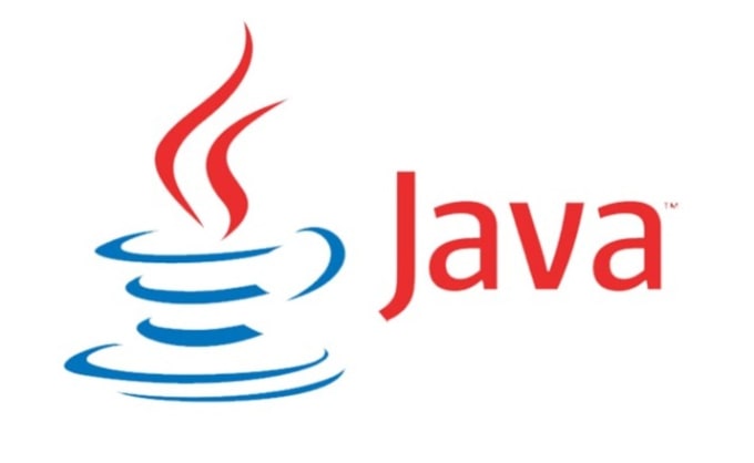 Gig Preview - Develop your java application