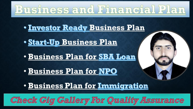 Gig Preview - Prepare investor ready business plan and financial plan