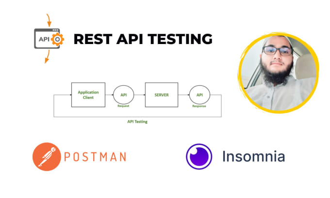 Gig Preview - Test API using postman or insomnia and demonstrate to you