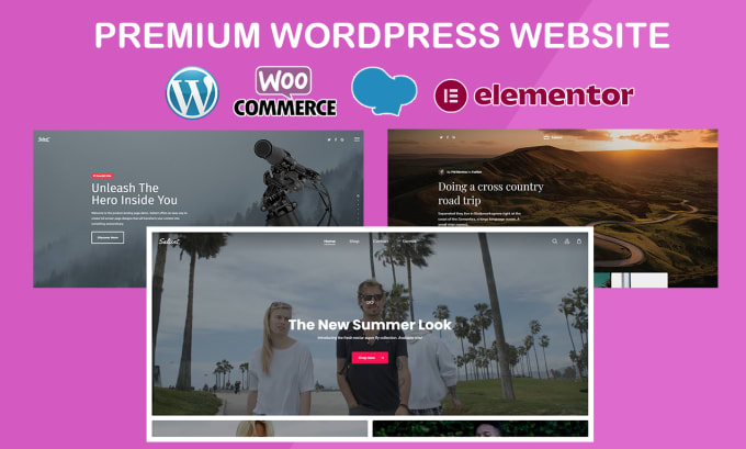 Gig Preview - Build premium wordpress website and ecommerce