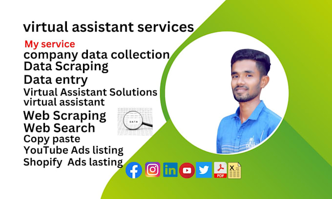 Gig Preview - Ultraprecise virtual assistant service, data entry, web search, data scraping