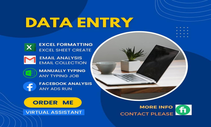 Gig Preview - Do data entry, copy paste, excel, and email, analysis jobs