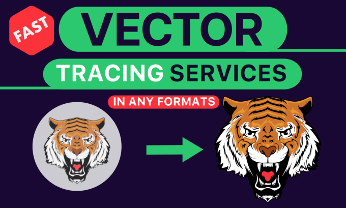 Gig Preview - Trace or recreate anything to vector