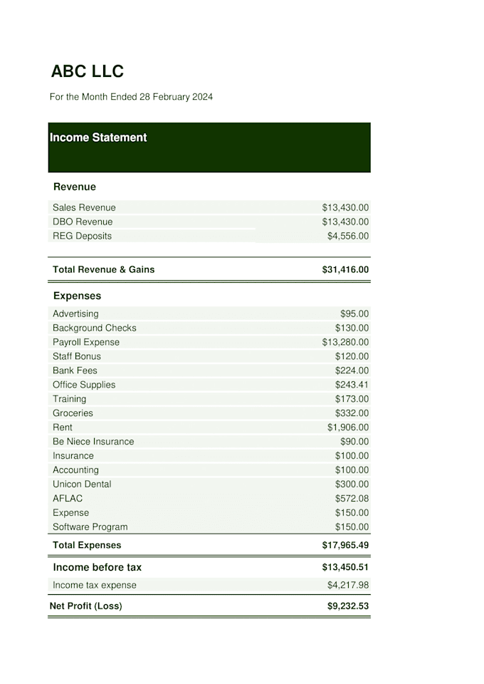 Gig Preview - Prepare cashflow statement, profit and loss, financial statements