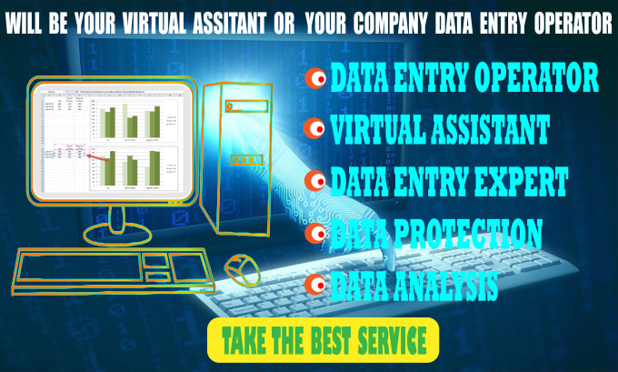 Gig Preview - Be virtual assistant or  data entry operator in your company