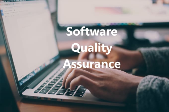 Gig Preview - Do software quality assurance and manual testing